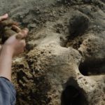 砂場で泥団子を作っている画像